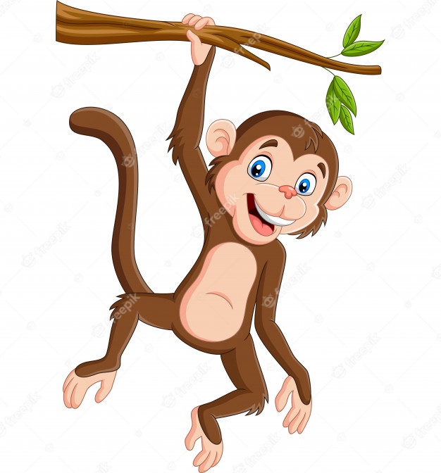 Macaco do Cajueiro
